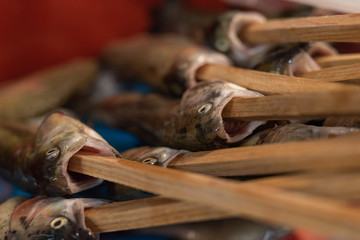 Forelle Steckerlfisch Fisch am Holz zum grillen auf Holzkohle im Biergarten