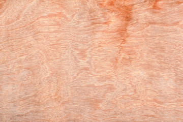Wood plank wood Texture background for design