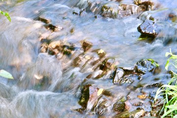 Creek in the mountais, Skhodnitsa, Ukraine