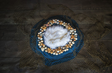 Fish net and seashell Newborn photography digital background prop.