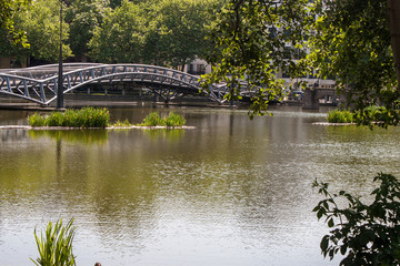 Beautiful park scene with lawn, trees and water