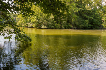 The pond Kahnweiher in the town forest