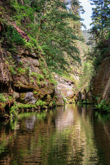 River gorges with rocks and trees along it in Czech republic