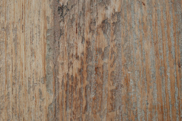 Abstract detail texture of old wooden beautiful as for vintage background.