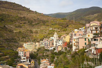view over Manarola hillside