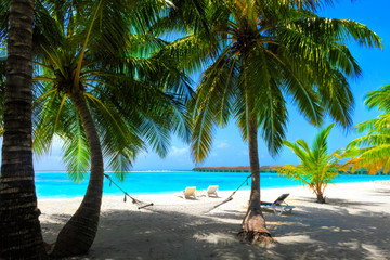 Vacation on palm beach in the Maldives with hammock