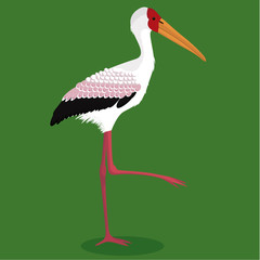 Yellow billed stork cartoon bird