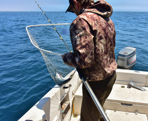  Fishing on flasher/ The fisherman caught a fish on the flasher