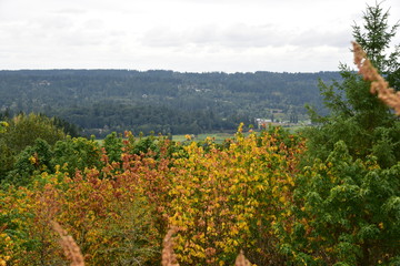 Fototapeta na wymiar fall landscape from hilltop