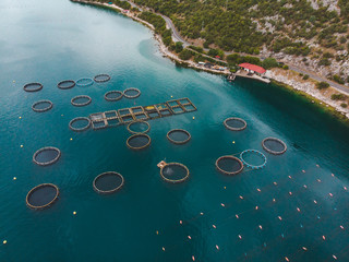 aerial view of fish farm in sea water. summer time