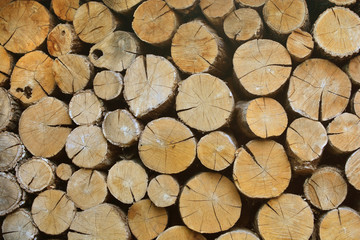 Firewood background texture. Wooden wallpaper.