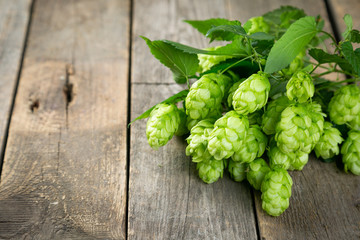Branches of hops on wood background with copy space