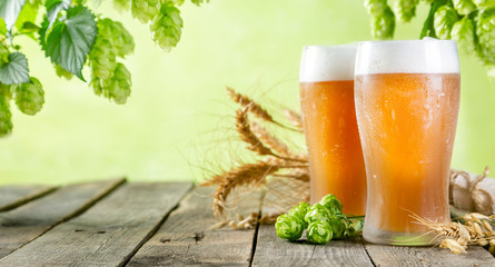 Beer and ingredients hops, wheat, barley on wood background, copy space