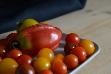 Bunte frische Tomaten