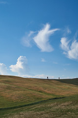 Obraz premium Val d'Orcia - Toscana