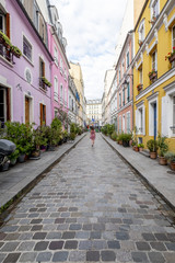 Fototapeta premium Typical french houses