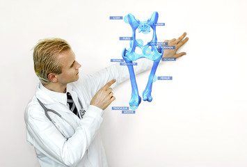 Smart health care internet of things and  augmented reality education , Artificial intelligence bone bone structure technology concept. Doctor using hologram with ar application popup screen.
