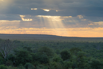 Sonnenuntergang in Afrika (Botswana und Zimbabwe)