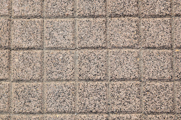 Fototapeta premium texture