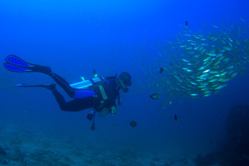 Fototapeta na wymiar Scuba Diver with yellow fish underwater