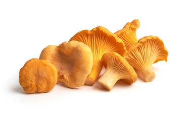 Raw fresh chanterelles mushrooms, isolated on white background.