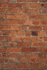 Obraz premium Texture