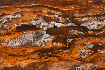 Biscuit Basin in Yellowstone National Park. Thermal area that is part of the Upper Geyser Basin.