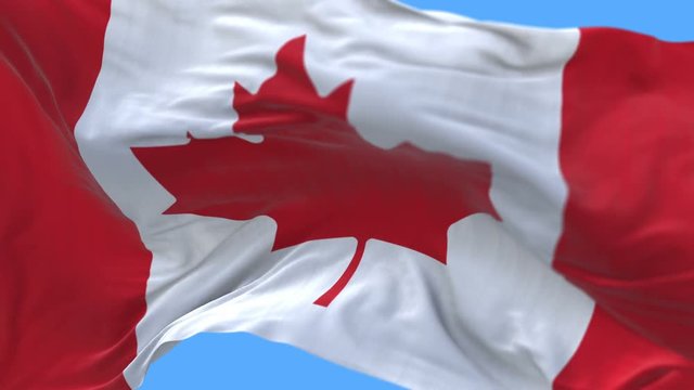 4k seamless Close up of canada flag slow waving with visible wrinkles.A fully digital rendering,The animation loops at 20 seconds.flag 3D animation with alpha channel included.