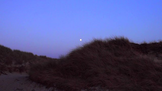 Vollmond in den D&uuml;nen mit D&uuml;nengras und dunklel blauem Himmel