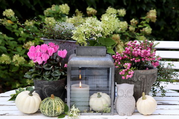 garden decoration with autumn flowers, pumpkins and candle