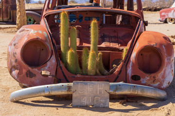 cactus car rust old desert