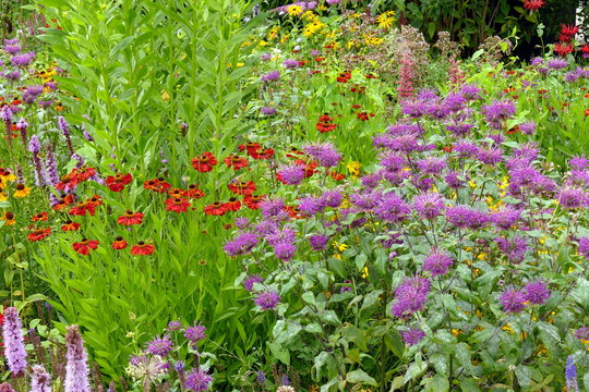 Buntes Staudenbeet in einer Gartenanlage