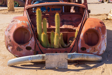 old car with cactus inside desert namibia