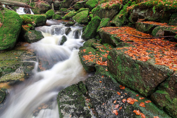 Rapids on Jedlova Creek, Jizera Mountains,  Czech Republic