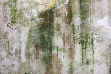 Old wall covered with moss and mold