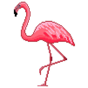 Pixel art pink flamingo detailed isolated vector