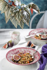 homemade granola with figs in a vintage plate