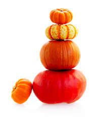 AUtumn tower of harvest of pumpkins isolated on white background