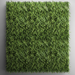 vertical gardening fern