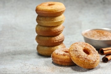 Homemade Mini Cinnamon Sugar Donuts / Cake Doughnuts