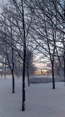 Fototapeta na wymiar Foggy snow-covered park with a house