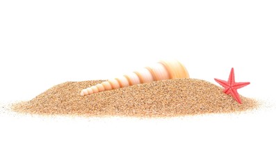  Starfish and seashells on the sand
