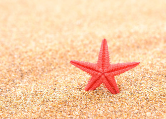 Red star fish, beach sand background