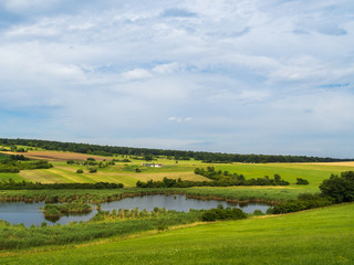 Teichwiesen bei Rohrbach  im Burgenland