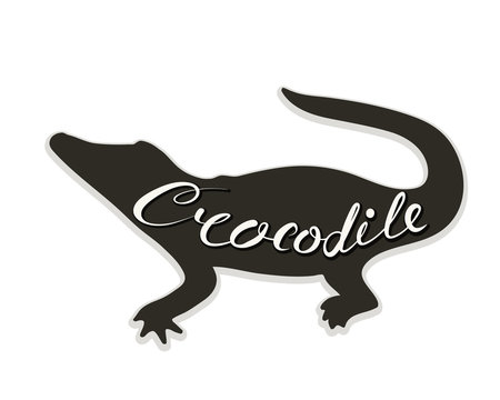 The logo of the crocodile. Vector illustration. Calligraphic text.