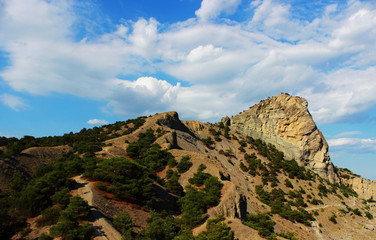 Mountains covered with grass and forest. Summer, the republic of Crimea. Interesting stones of a bizarre shape as a result of many years of wind work.