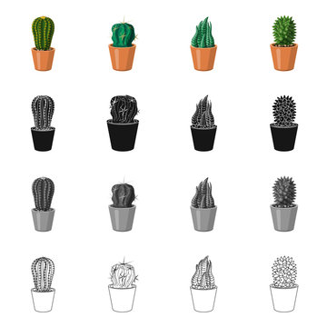 Vector design of cactus and pot sign. Set of cactus and cacti stock symbol for web. © Svitlana