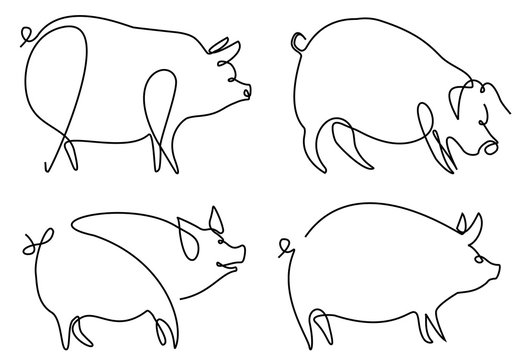Pig one line drawing