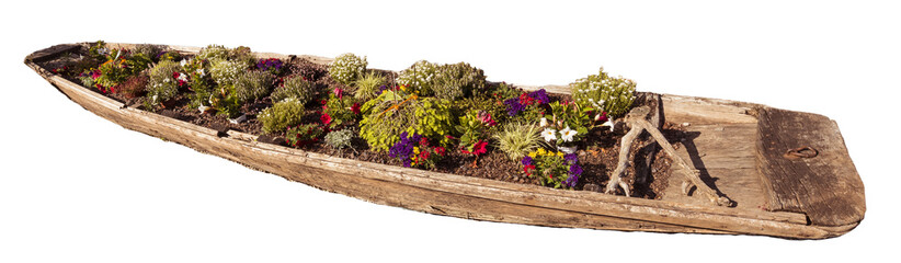 Fototapeta premium A summer flowerbed in an old skipper boat. Baden Baden, Baden Wuerttemberg, Germany
