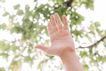 hand of a woman feeling the nature